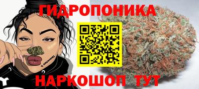 ГАЛЛЮЦИНОГЕННЫЕ ГРИБЫ Моздок