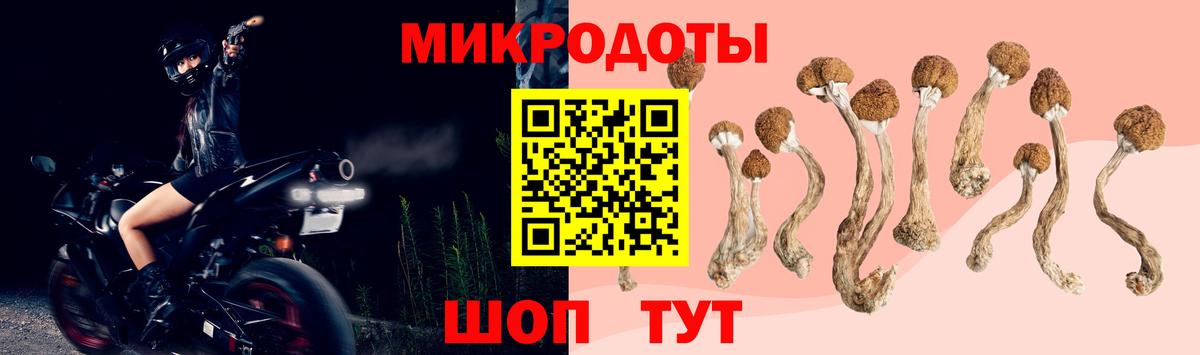 Галлюциногенные грибы Magic Shrooms  Вход с VPN  купить  сайты  Галлюциногенные грибы прущие грибы  Сланцы 