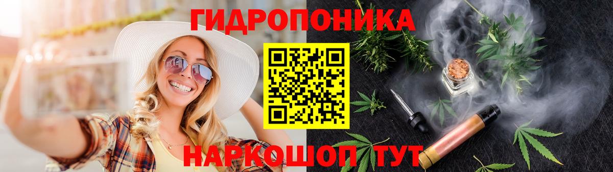 Каннабис OG Kush Сланцы